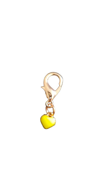 ornements coeurs multicolore