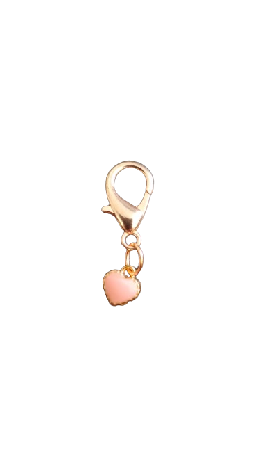 ornements coeurs multicolore